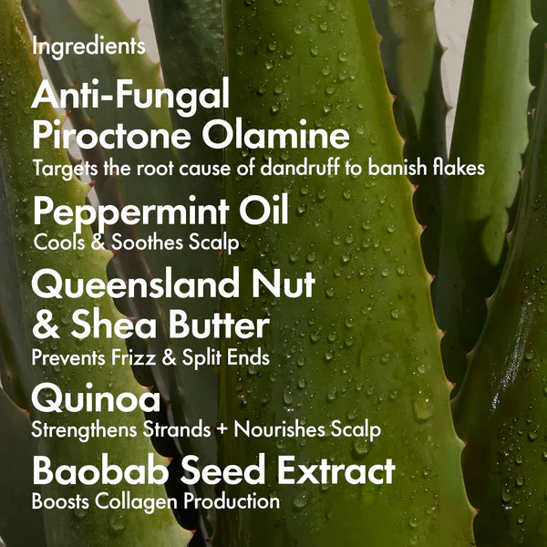 BONDI BOOST Dandruff Repair Hair Mask - Image 3